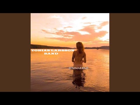 Sommarbild - TOBIAS LARSSON BAND