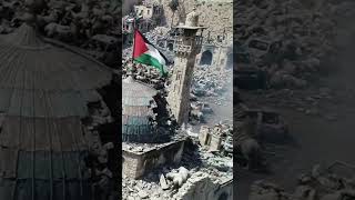 Download lagu 🇵🇸 The Long Story of Palestine — The Land That Never Forgets mp3 Download lagu 🇵🇸 The Long Story of Palestine — The Land That Never Forgets mp3