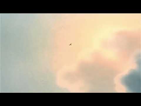 War Game 2002 Opening