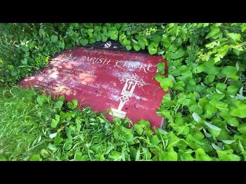 Pyramidal Orchids @kestonparishchurch6246  June 2024