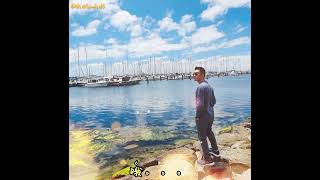 本色英雄 ~ 高进 ft. 大壮 BenSeYingXiong ~ GaoJin ft. DaZhuang with Pinyin