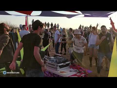 Crow on a stick - 23.2.19 - עורב על מקל