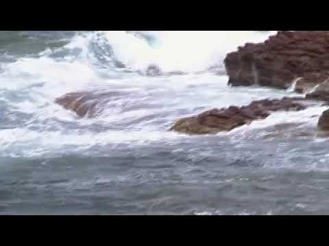 2 porri - Comic Sans Party  feat Massimo Pericolo, Tommy Toxxic, Barracano, Joe Scacchi e Drimer,