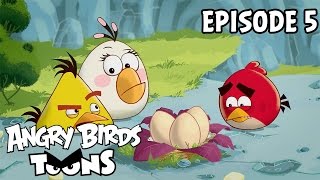 Download lagu Angry Birds Toons | Egg Sounds - S1 Ep5 mp3 Download lagu Angry Birds Toons | Egg Sounds - S1 Ep5 mp3