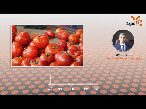 شاهد بالفيديو.. حكومة البصرة: سيتم إدخال شاحنات الطماطم المتكدسة عبر منفذ الشلامجة الحدودي بأقرب وقت #المربد