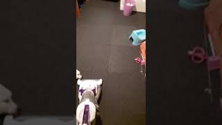 Someone hates the Hoover lol