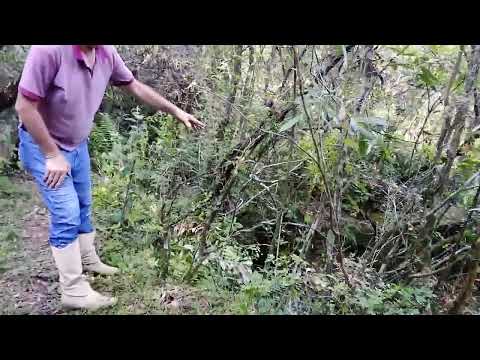 Coronel Linhares Borin Visita Estação De Trem  em Ibare em Lavras do Sul RS .Casas Abandonadas ....