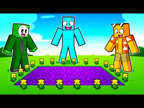 TWILIGHT FOREST 2025 - O FILME