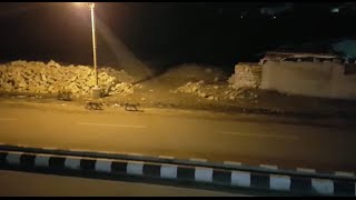 Pride of Lions Roaming Inside Junagadh City