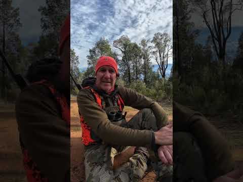 Goat Hunting Techniques #1 | Exploring New Country | Mark Van Den Boogaart