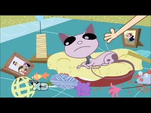 Kid Vs Kat Me Oh Me Oh Meow (Full Episode)