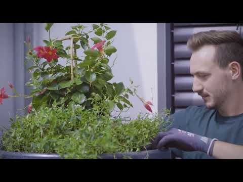Réservoir Stone 2en1 – avantages et installation
