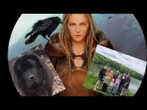 Age progression of my Newfoundland Puppy Bjørn #newfoundland #dog #fun