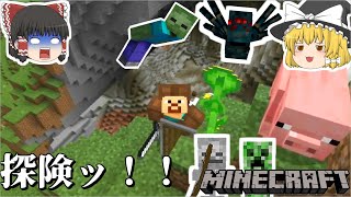 【マイクラswitch版】深っっっっかそうぉ～な穴あったから探検してみたら・・・・。【ゆっくり実況】