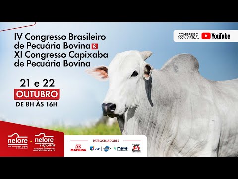 Dia 1- 4º Congresso Brasileiro de Pecuária Bovina - 11º Congresso Capixaba de Pecuária Bovina