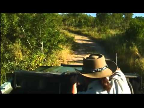 AM Safari Drive - Induna - Crocodile - Karula - Mar 6, 2011