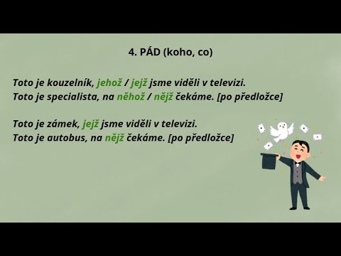 Skloňování zájmena JENŽ (mužský rod) | Čeština pro cizince (C1)