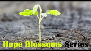 Hope's Vital Ingredient