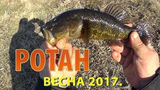 Ловля ротана весной на спиннинг