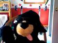 bearry's beastly rap