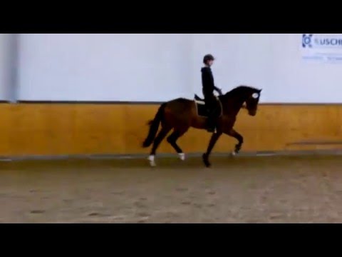 30 TT Schlieckau Casino Grande