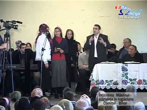 Maslinul - Cornitel (februarie 2010) - partea 2