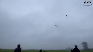 Teamflug Lycos Competition 1. Versuch