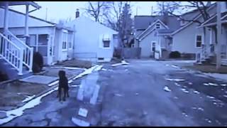 preview picture of video 'Lucy - Sandusky, OH - 20130221 - Dashcam'