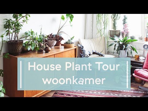, title : 'House Plant Tour 2019: Woonkamer'