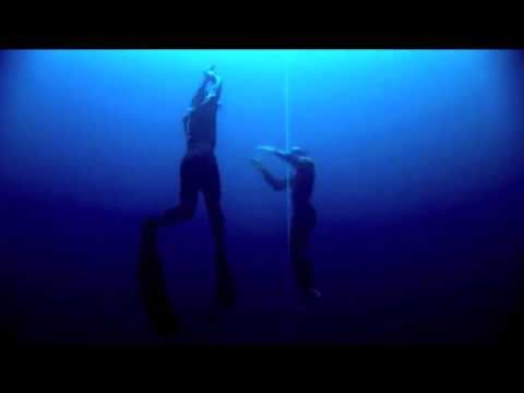 Benoit Cassar & Vince Brunello - Dolphins Are Just Gay Sharks