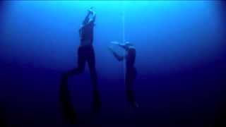 Benoit Cassar & Vince Brunello - Dolphins Are Just Gay Sharks