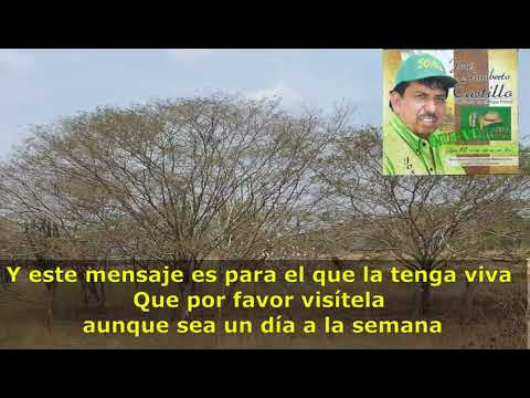 El Castillazo Karaoke José Humberto Castillo