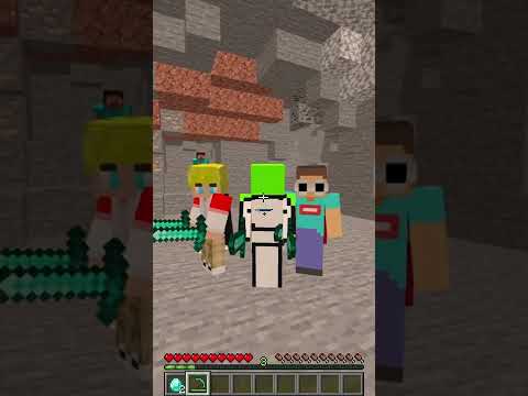 Every Minecraft Trend In One Video...