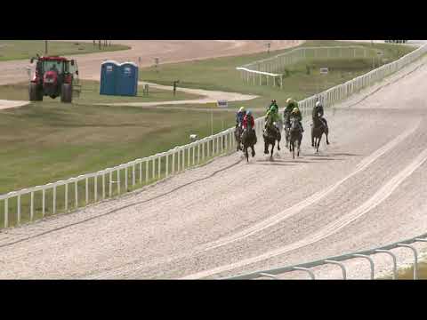 2021.08.29. 03. futam - NYERETLENEK VERSENYE (V.kat.) (szintetikus pálya)