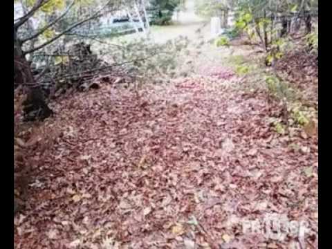 Overdone (ft. Anneka) - XXYYXX