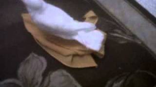 cockato playing with the blanket and biting me.3GP