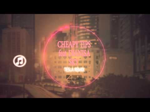 Cheapy Tips feat. Dianisa - Sky (Te5la Remix)