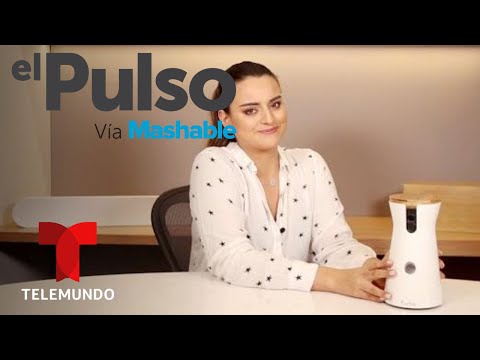 POWER UP: Furbo review en español: cámara para perros que lanza bocadillos | El Pulso | Entretenimi