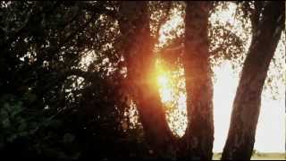 Rachmaninoff - Vocalise, Op. 34 No. 14 (orchestral arrangement)