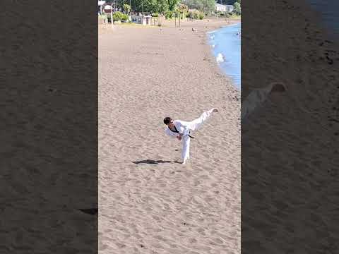 POOMSAE EXPEDITION 077. Hansoo. Ensenada de Frutillar, Los Lagos, Chile #poomsae #taekwondo