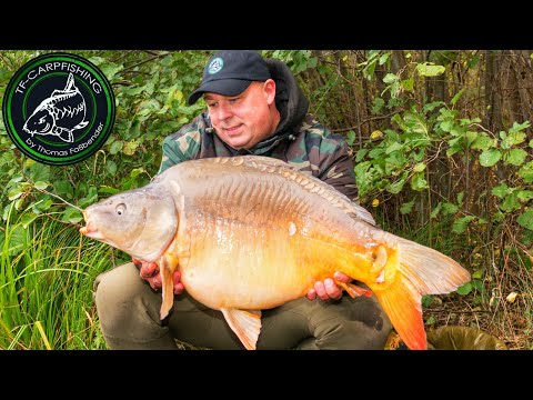 Karpfenangeln VTB 97 - Kurzsession im Herbst