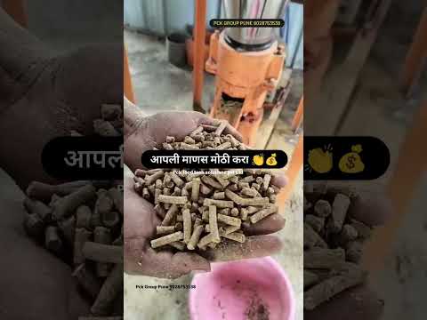 Feed Pellet Making Machine