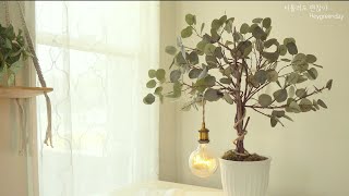 Vlog🌱 Making lamps with Daiso eucalyptus | Creating a Simple Atmospheric Bedroom
