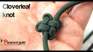 How to tie the cloverleaf knot