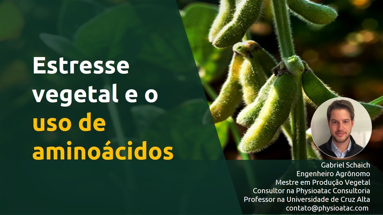 Estresse vegetal e o uso de aminoácidos