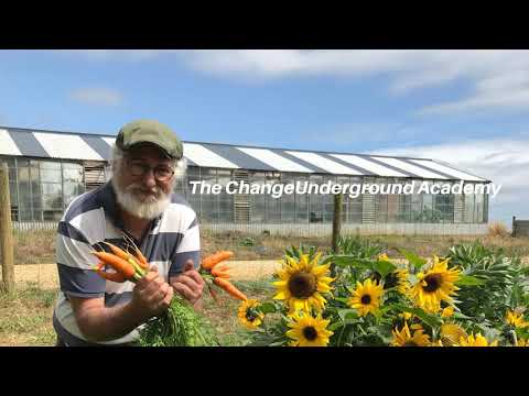 84. Heat waves, A Great Green Wall and a One Square Metre Garden | #worldorganicnews 2017 10 02