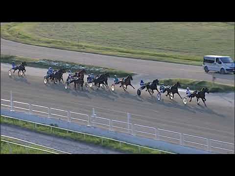 Napoli Trotto 17/06/2023 - 1ª corsa