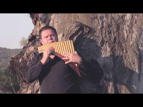 Sweef soos n arend - RYAN WALT