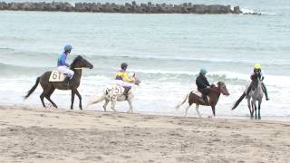 preview picture of video '串木野浜競馬2012 Horse racing on the beach'