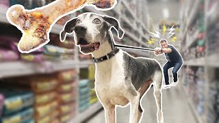 Buying Worlds Tallest Dog EVERYTHING He Touches!